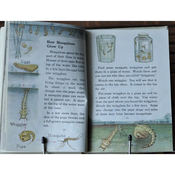 1950s Vintage Science Book "Exploring Science - Four" The Macmillan Company 1957 - Picture 7 of 10